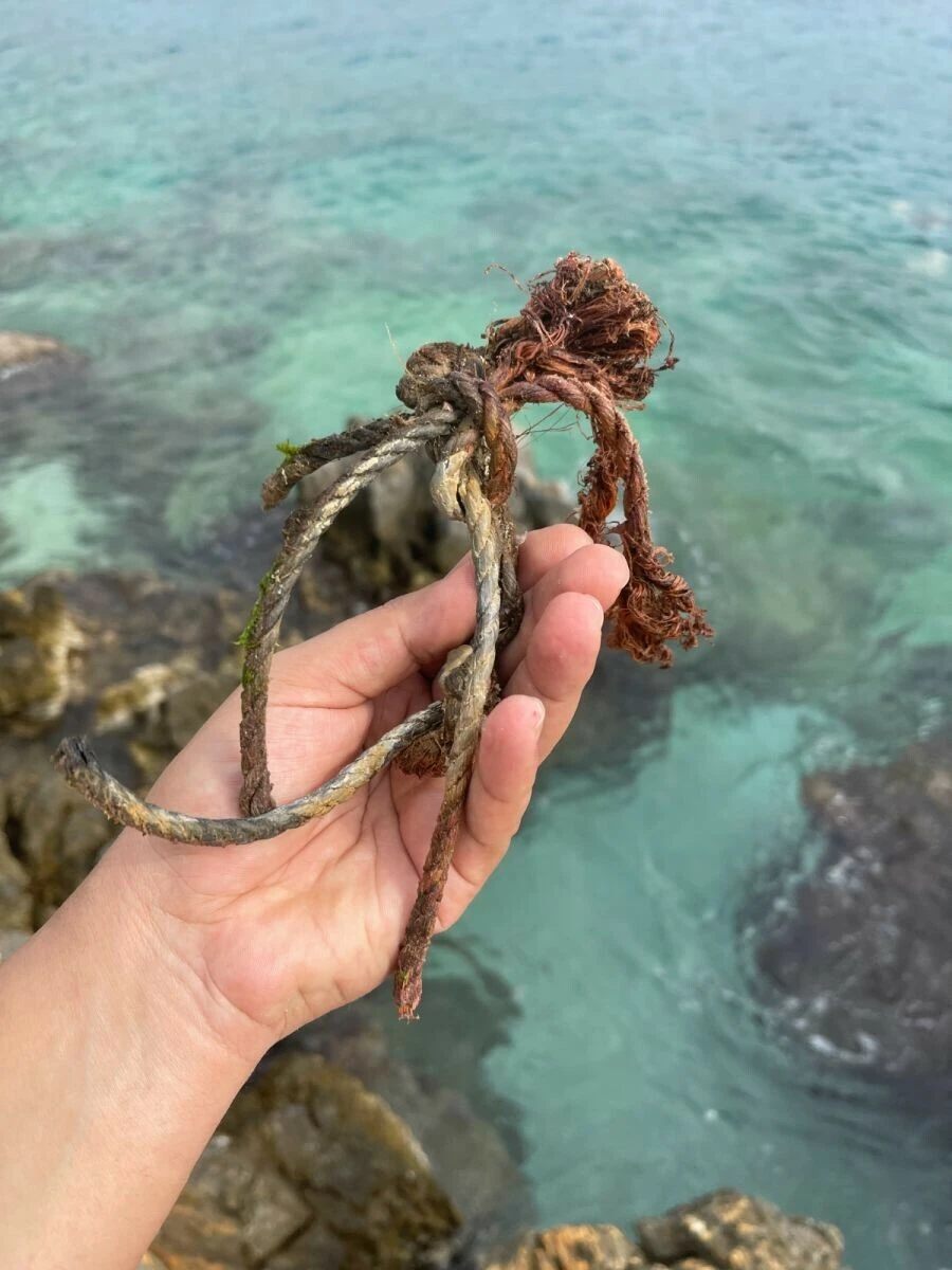 Şamandıra halatına takılan Caretta İstanbul Akvaryum Dalgıçları tarafından kurtarıldı