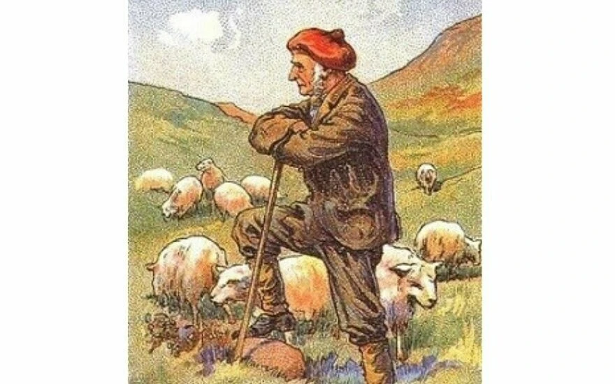 IQ'nuzu ölçmek için 15 saniyeniz var: Sadece dâhiler çoban köpeğini 15 saniyede bulabiliyor!