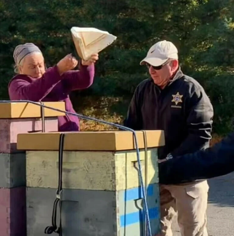 Evi tahliye etmek istemeyince polislere arılarla saldırdı! Az kalsın adam öldürmeyle yargılanacaktı