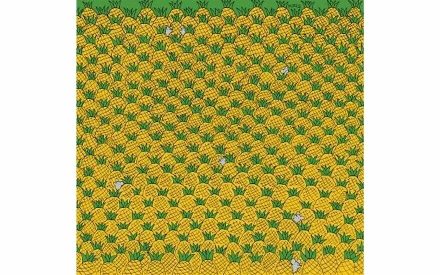 Macar sanatçının meşhur illüzyon tablosunda, ananaslar arasındaki 4 mısırı 17 saniyede görenler keskin zekalı kabul ediliyor!