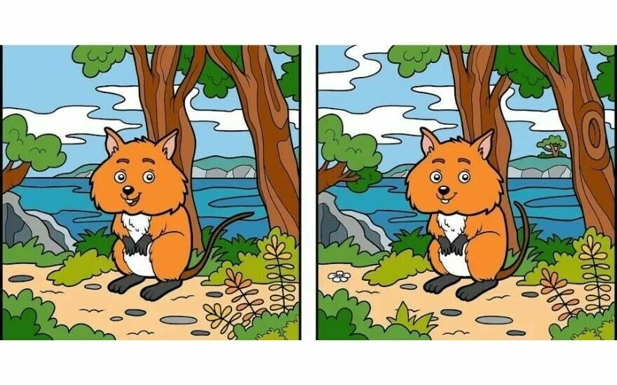 Görsel zekâ seviyenizi bu testle ölçün: 20 saniye içinde 10 farkı bulan pilotlarla aynı IQ seviyesinde kabul ediliyor!