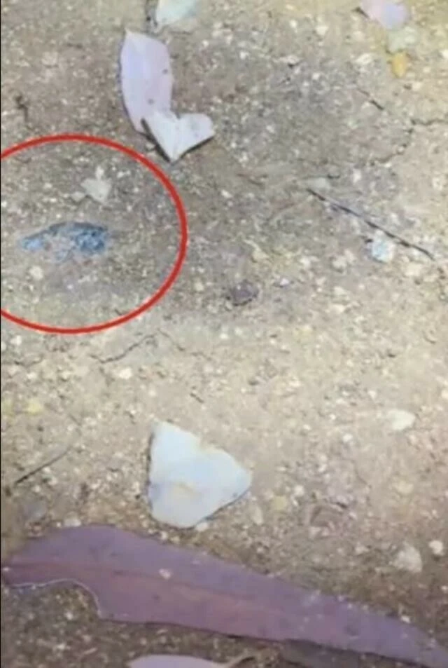 Gökte ararken yerde buldu! Yürüyüş esnasında ayağına milyonlarca lira takıldı