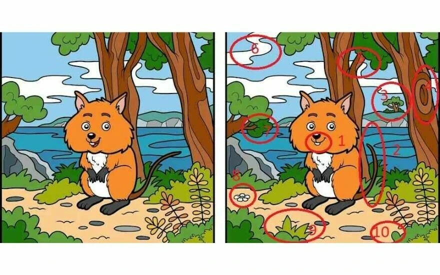 Görsel zekâ seviyenizi bu testle ölçün: 20 saniye içinde 10 farkı bulan pilotlarla aynı IQ seviyesinde kabul ediliyor!