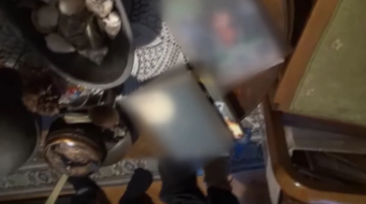 TTB Başkanı Fincancı'nın evinden kalaşnikof ve tabancı mermisi ile örgütsel el kitabı çıktı