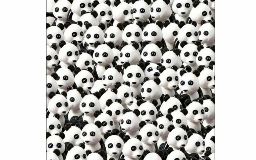 Dikkat ölçen zeka testi: Pandalar arasındaki köpeği 5 saniyede bulan Sherlock Holmes kadar dikkatli olduğunu kanıtlıyor!