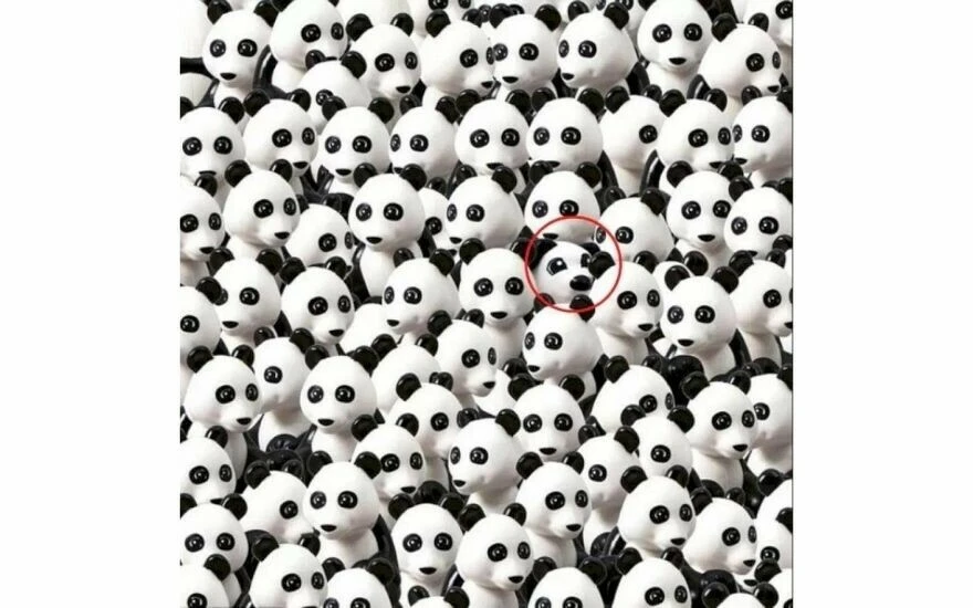 Dikkat ölçen zeka testi: Pandalar arasındaki köpeği 5 saniyede bulan Sherlock Holmes kadar dikkatli olduğunu kanıtlıyor!