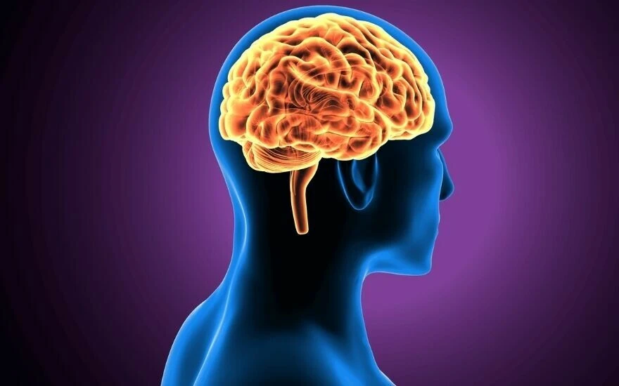 Dünyaca ünlü nörolog beyni çürüten 7 alışkanlığı açıkladı: Hızlı yaşlanmaya, erken bunamaya ve ani ölümler sebep oluyor!
