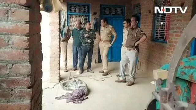 Keçiler dehşeti bildirdi! Evin içini arayınca korkunç manzarayla karşılaştılar