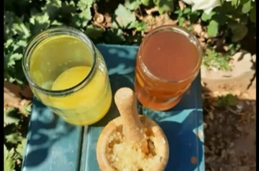 Ballı, sarımsaklı, limonlu karışımın faydası saymakla bitmez!  Denemeyen bin pişman!