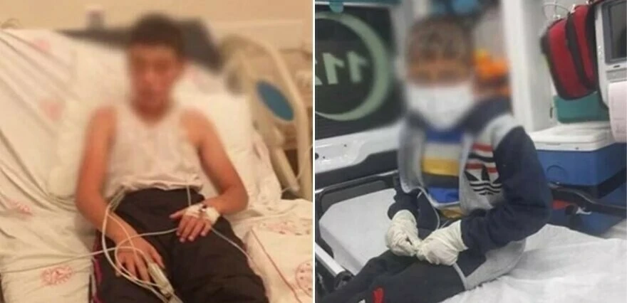 Adıyaman'da kuduz paniği: Üç köye altı ay karantina