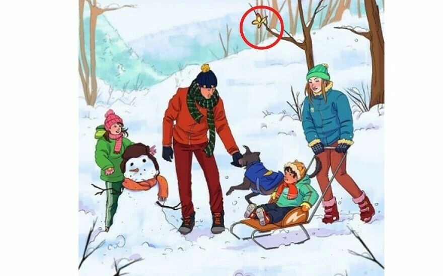 Görsel zekanızı ölçen ünlü IQ testi: Ailenin kış tatili resmindeki hatayı 11 saniyede bulan filozof kadar akıllı kabul ediliyor!