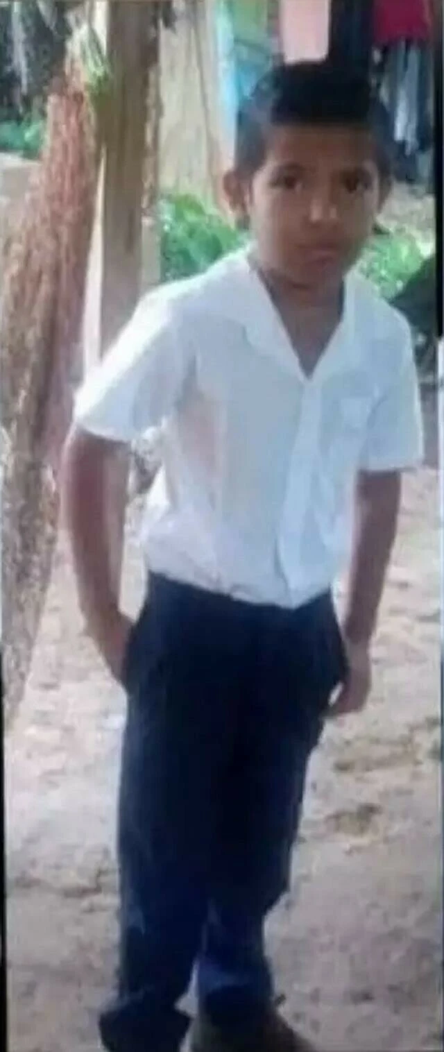 Timsah çocuklarını tek hamlede kapıp sürükledi anne baba çaresizce izledi