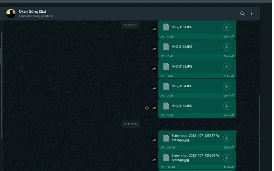 WhatsApp bunu da yaptı: Milyonlarca kişiyi dinledi, o özelliği nihayet getirdi!