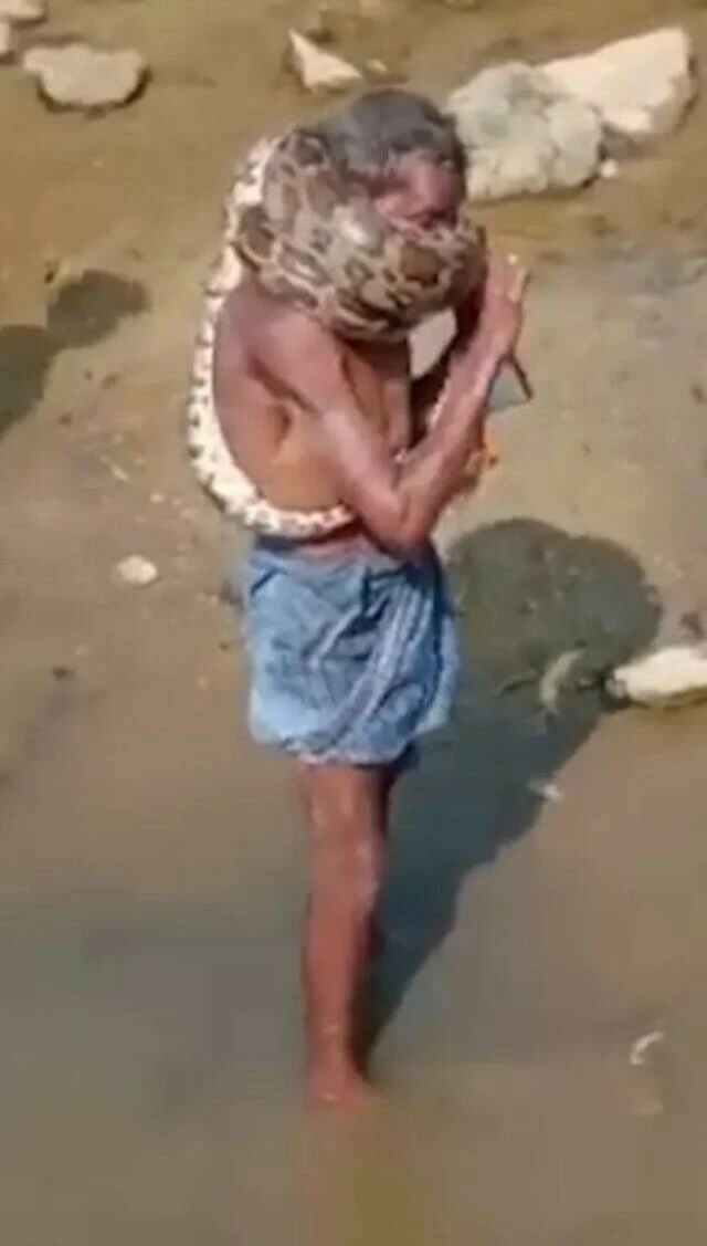 Sarhoş adamın 'nefes kesen' hatası! Yılanı boynuna doladı oğlu kurtarmak için böyle uğraştı