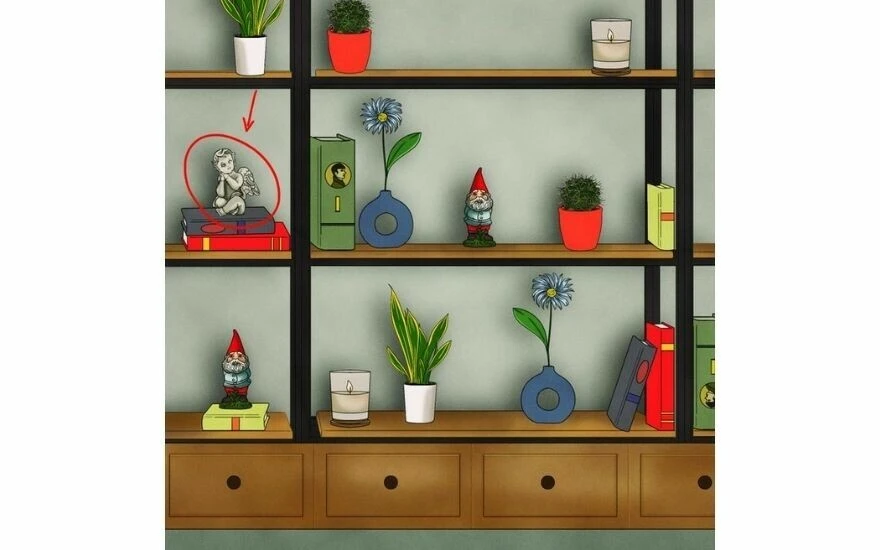 Gerçek zeka testi: Rafta ikincisi olmayan nesneyi 11 saniyede bulan dahi kabul ediliyor!