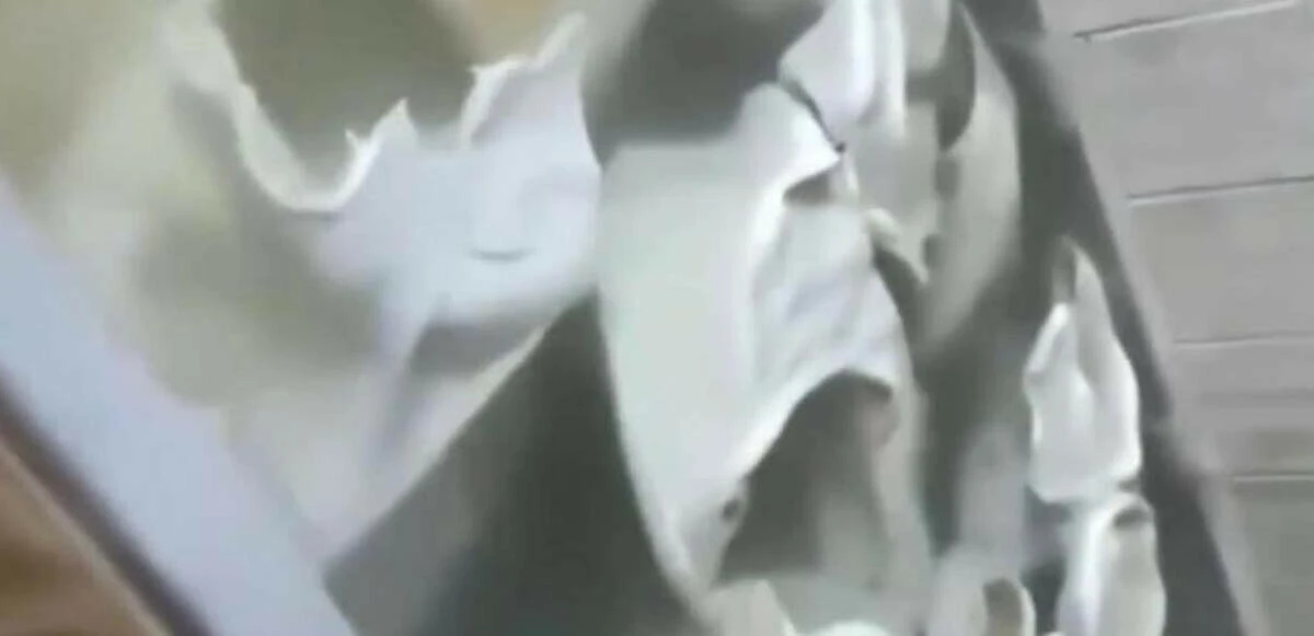 Ankara'da mide bulandıran görüntü: İşkembelerin kurtlar içinde yüzdüğü işletmeden açıklama geldi