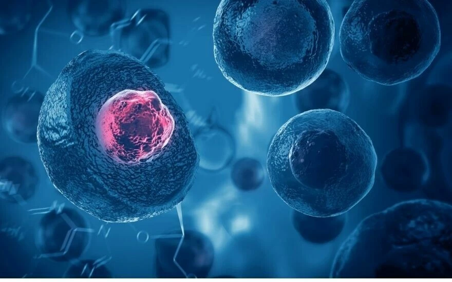 Yaşlanmayı durduran ve zihin performansını arttıran tedavi bulundu: Glutatyon tedavisiyle genç kalmak mümkün!