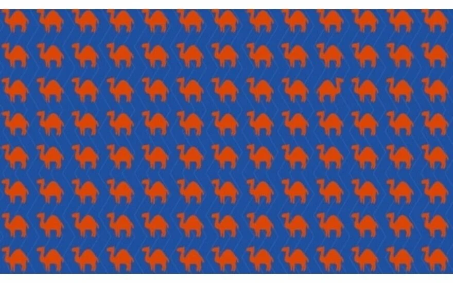 Beyin yakan zeka testi: 10 kişiden sadece 2’si farklı olan deveyi 7 saniyede bulabiliyor!