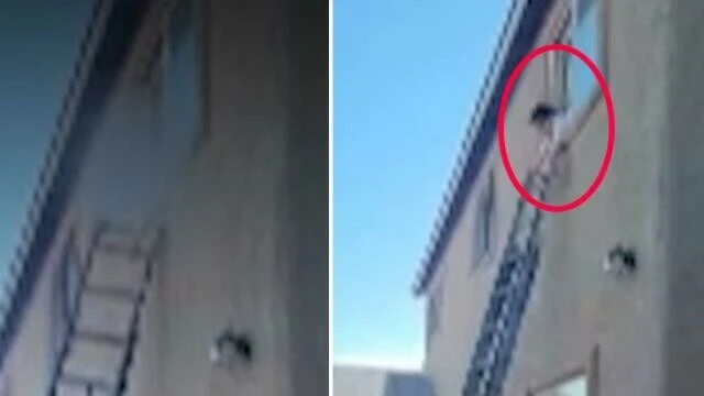 Apartmanın 4 numaralı kabus dairesi! Genç kızın yaşadıkları tüyler ürpertti