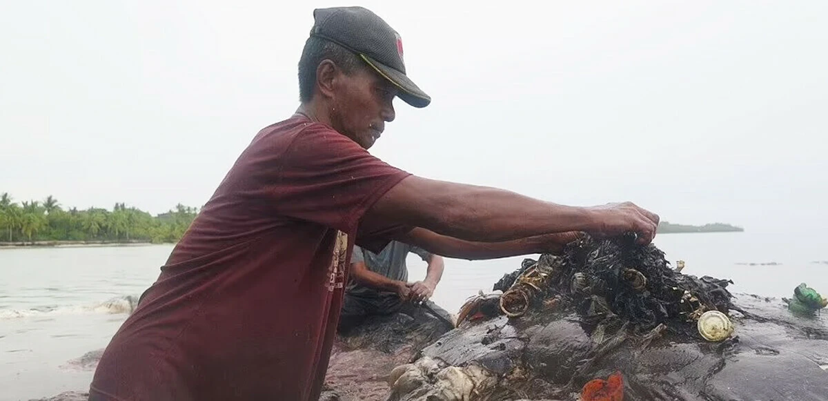 Kıyıya vuran balinanın karnından 330 kilo çöp çıktı, yok yok
