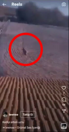 Haluk Levent insafsızca çekilen TikTok videosunu Twitter'dan paylaştı: Bu kişiyi bulana ödül var