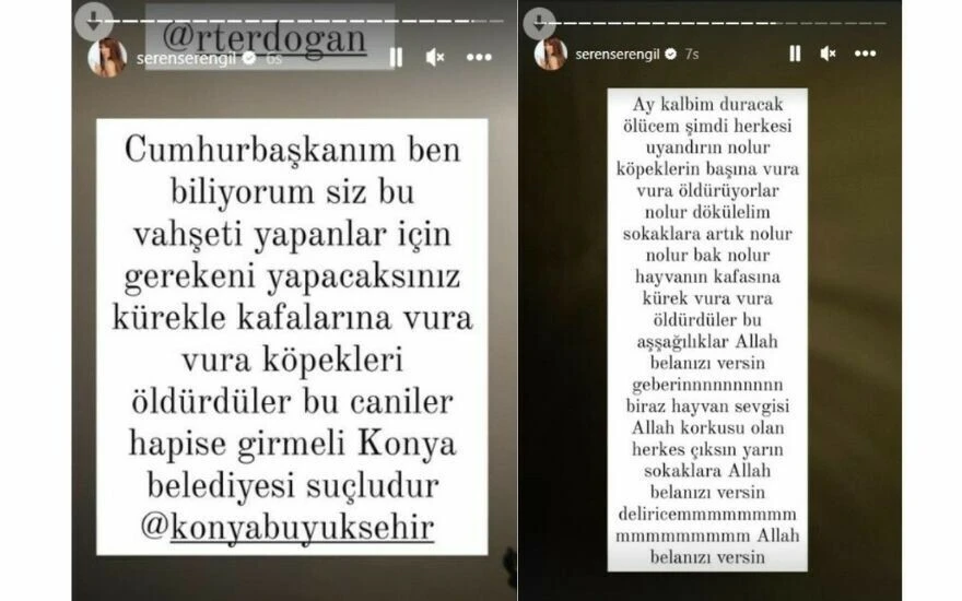 Kürekle köpeklere yapılan işkenceye ünlülerden büyük tepki: Serengil Cumhurbaşkanı’na seslendi!