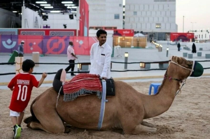 Deve gribi nedir, belirtileri neler, nerelerde görüldü?