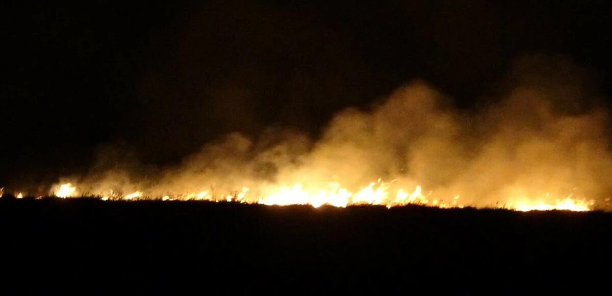 Yüksekova'nın kuş cenneti 4 gündür alev alev yanıyor