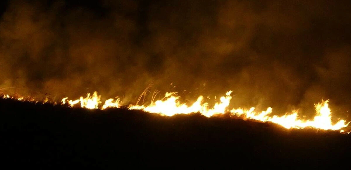 Yüksekova'nın kuş cenneti 4 gündür alev alev yanıyor