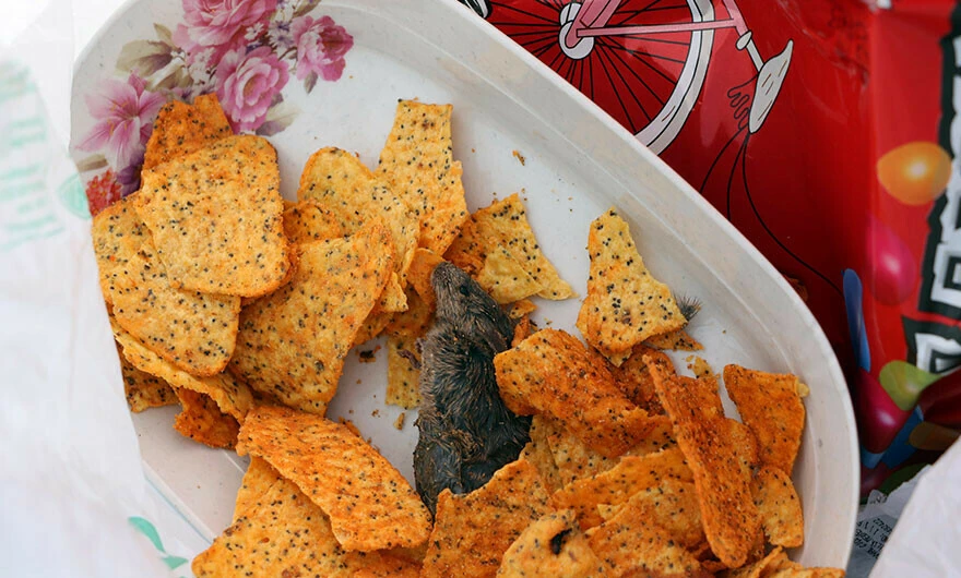 Yozgat’ta mide bulandıran görüntü: Zincir marketten aldılar, içinden <a href=