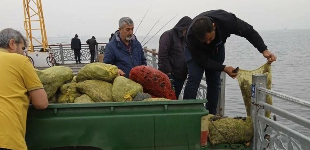 Bursa'da kaçak midye operasyonu