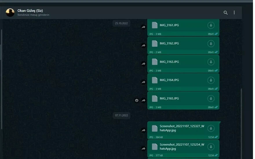 WhatsApp, çok konuşulan özelliğini herkes için kullanıma sundu!