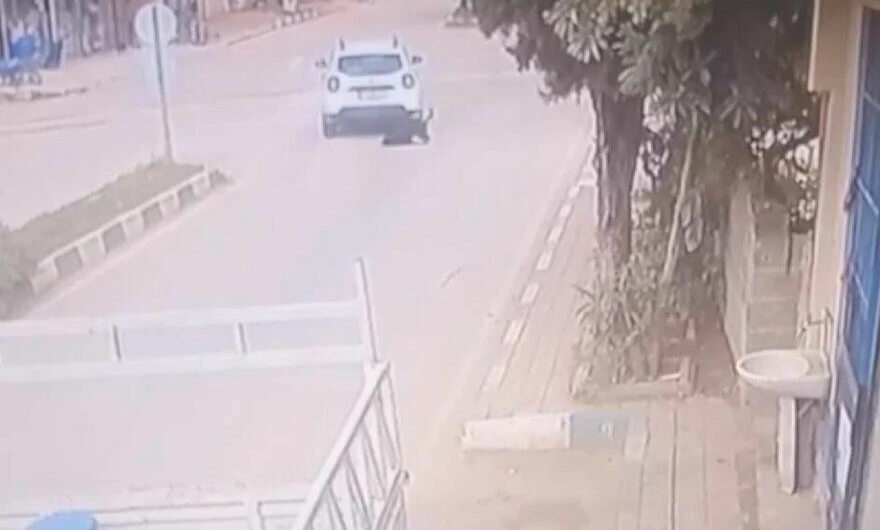 Adana’da kan donduran vahşet: Arabası ile köpeğin üzerinden geçerek sürükledi