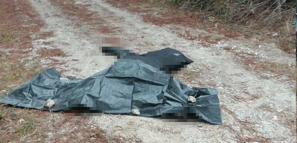 Son dakika! Bursa'da tek motorlu uçak düştü: 2 ölü