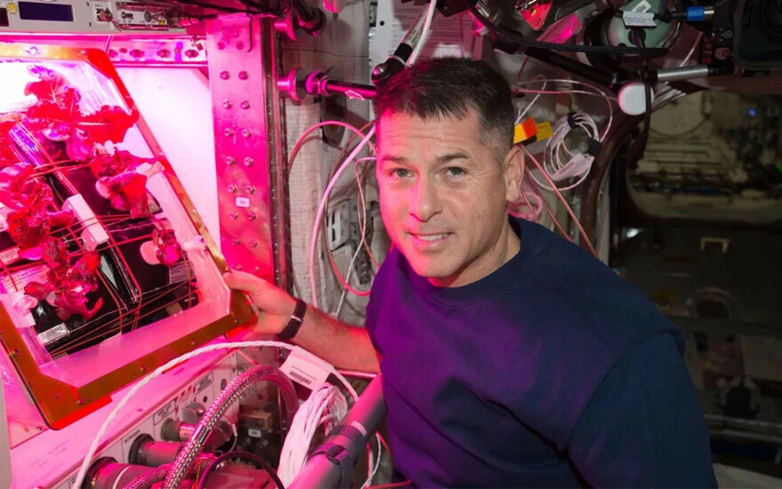 NASA bunu da yaptı: Uzayda domates yetiştirme deneyleri başladı!