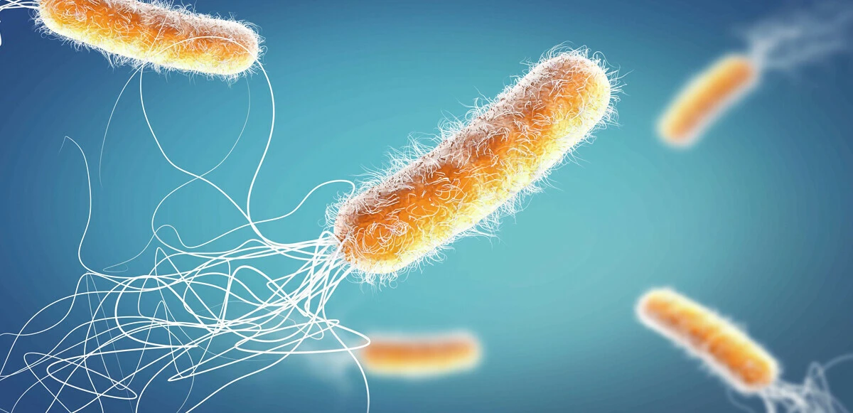 Yeni kâbus: Strep A bakterisi! 6 çocuk hayatını kaybetti