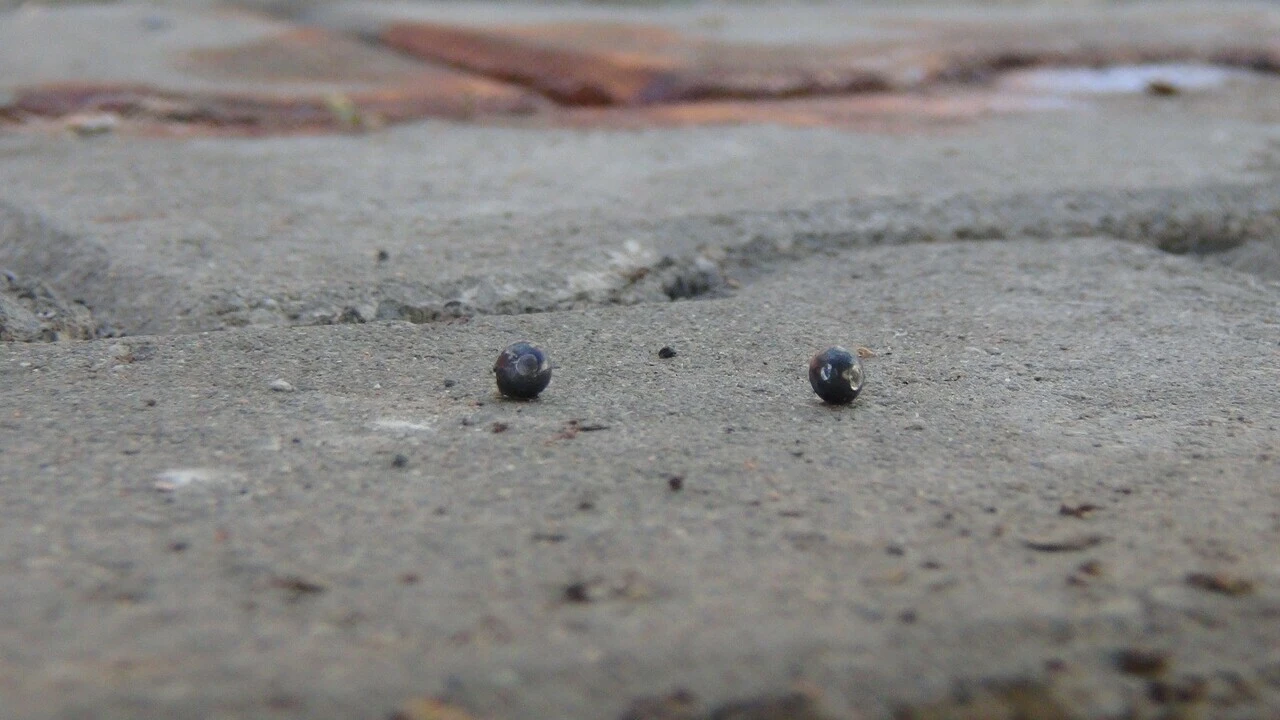 Şanlıurfa'da <a href=