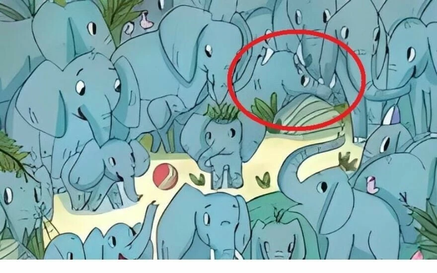 Dahiliğinizi bu zeka testiyle gösterin: Fillerin arasındaki gergedanı bulmak için 9 saniyeniz var!