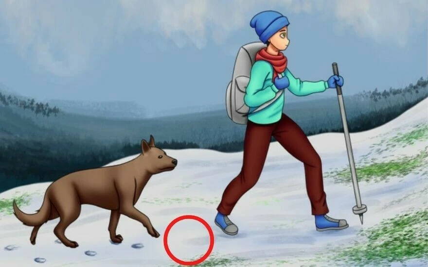 Ekrana kilitleyen zeka testi: Resimdeki hatayı 5 saniye içinde tespit eden 120 kişiden sadece 7’si oldu!