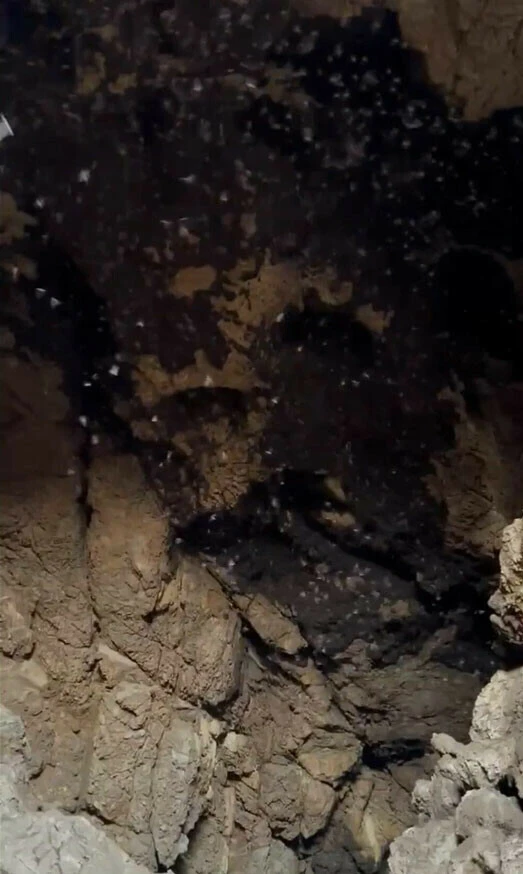 'Covid-19'un nükleer çekirdeği' diyerek Tayland'daki mağarayı işaret etti! İngiliz bilim insanından fotoğraflı iddia