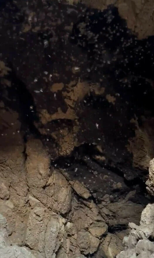 'Covid-19'un nükleer çekirdeği' diyerek Tayland'daki mağarayı işaret etti! İngiliz bilim insanından fotoğraflı iddia