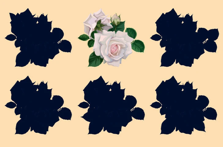 Dikkat gerektiren zeka testi: Resimdeki çiçeğin doğru gölgesini bulmanız için 9 saniye süreniz var!