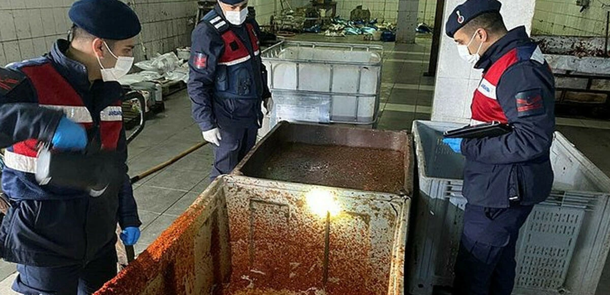 Kaçak salça imalathanesinde mide bulandıran görüntüler