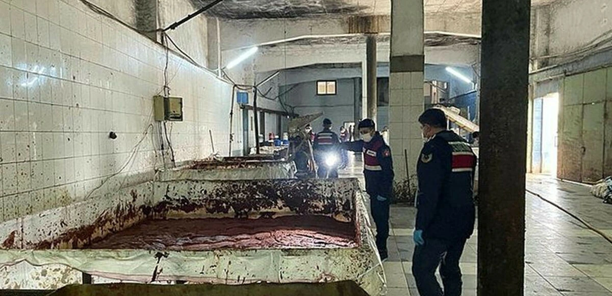 Kaçak salça imalathanesinde mide bulandıran görüntüler