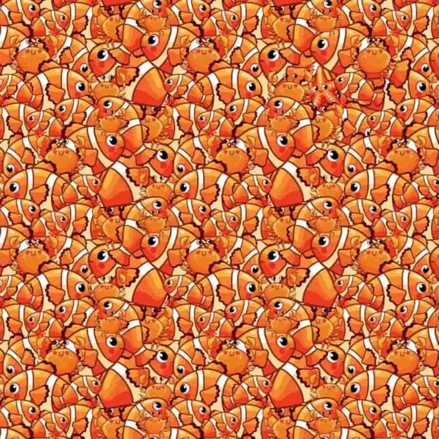 Akıl küpü olanlar çözüyor: Balıkların arasındaki denizyıldızını 17 saniyede görebiliyorsanız siz bir dâhisiniz!