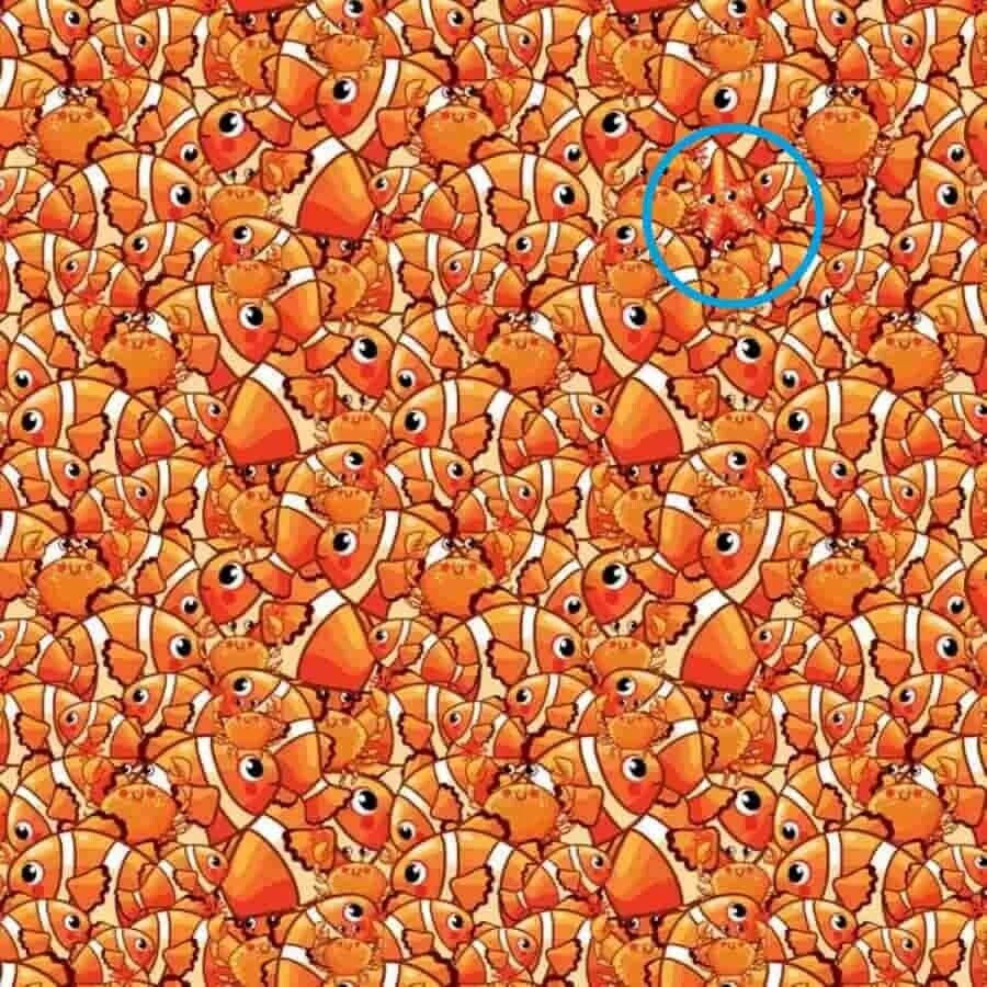 Akıl küpü olanlar çözüyor: Balıkların arasındaki denizyıldızını 17 saniyede görebiliyorsanız siz bir dâhisiniz!