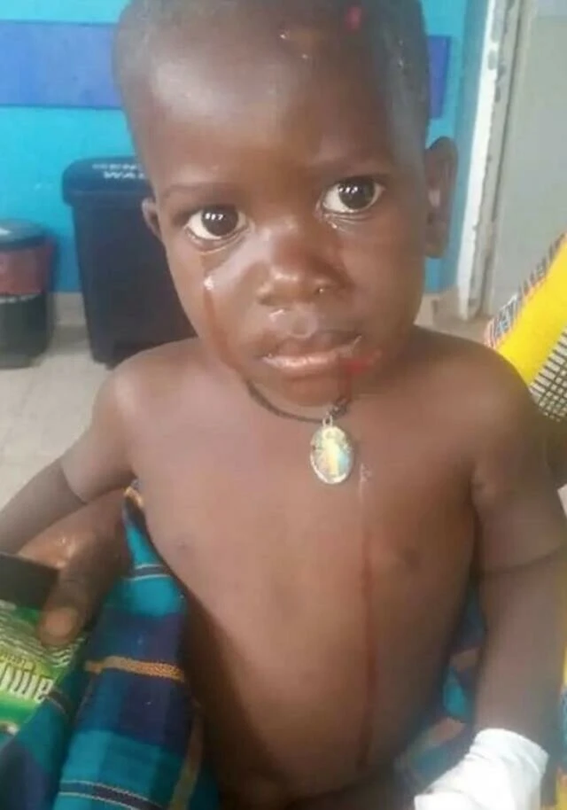 Su aygırı 2 yaşındaki çocuğu yuttu! Olaya tanık olan bir kişinin zekice hamlesi kurtardı