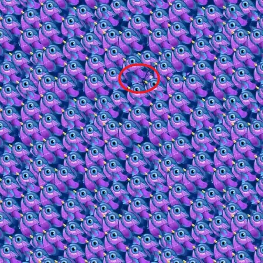 Derin zeka testiyle detaycılığınızı ölçün! 10 kişiden sadece 2'si görseldeki kelebeği 11 saniyede bulabiliyor