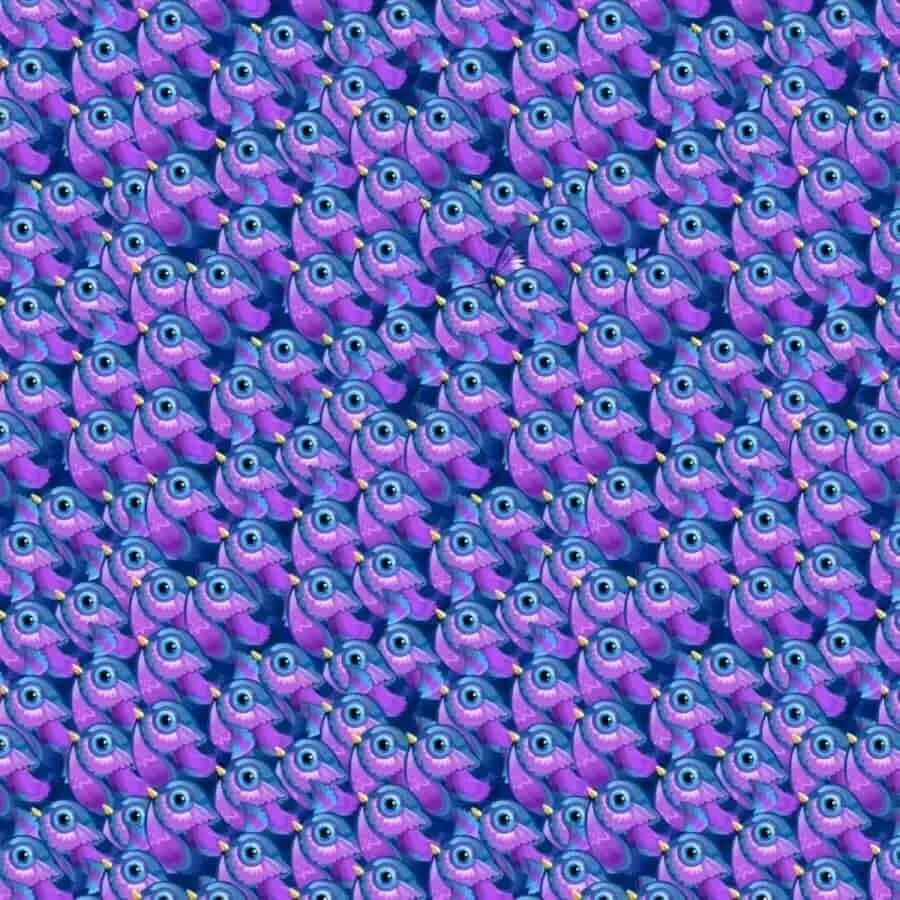 Derin zeka testiyle detaycılığınızı ölçün! 10 kişiden sadece 2'si görseldeki kelebeği 11 saniyede bulabiliyor