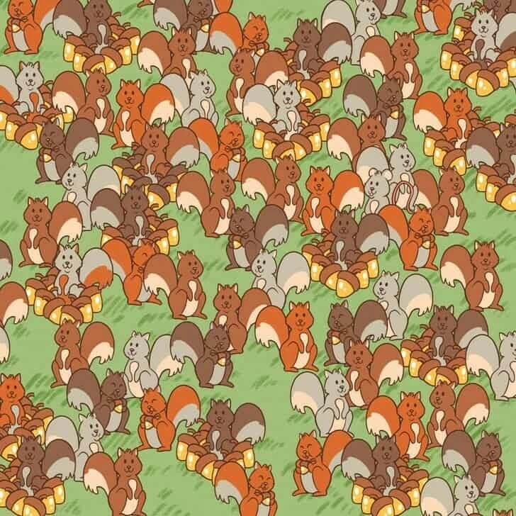 Görsel zeka testinde nokta atışı yapın! Sincapların arasındaki fareyi bulmak için 10 saniyeniz var